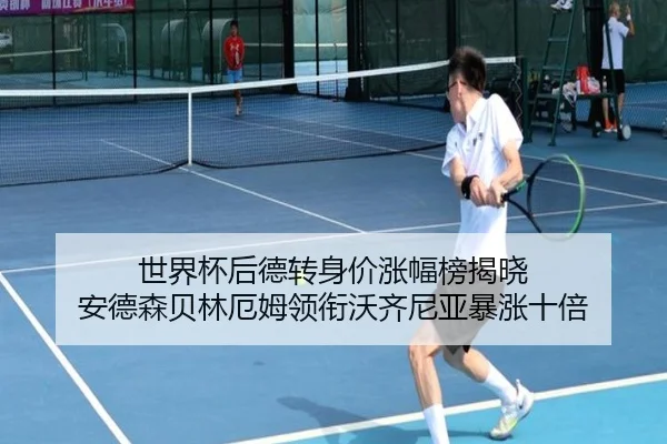 世界杯后德转身价涨幅榜揭晓 安德森贝林厄姆领衔沃齐尼亚暴涨十倍